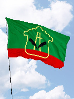 Флаг Альметьевска 90х135 см Флаг Альметьевска 90х135 см