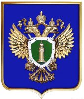 Герб Генеральная прокуратура РФ 42х50 см, барельеф, металлонапыление, рамка под золото