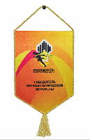 Вымпел жесткий печатный со шнуром, 10х15 см