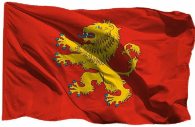 Флаг Ржева 90х135 см