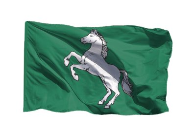 Флаг Томска 90х135 см